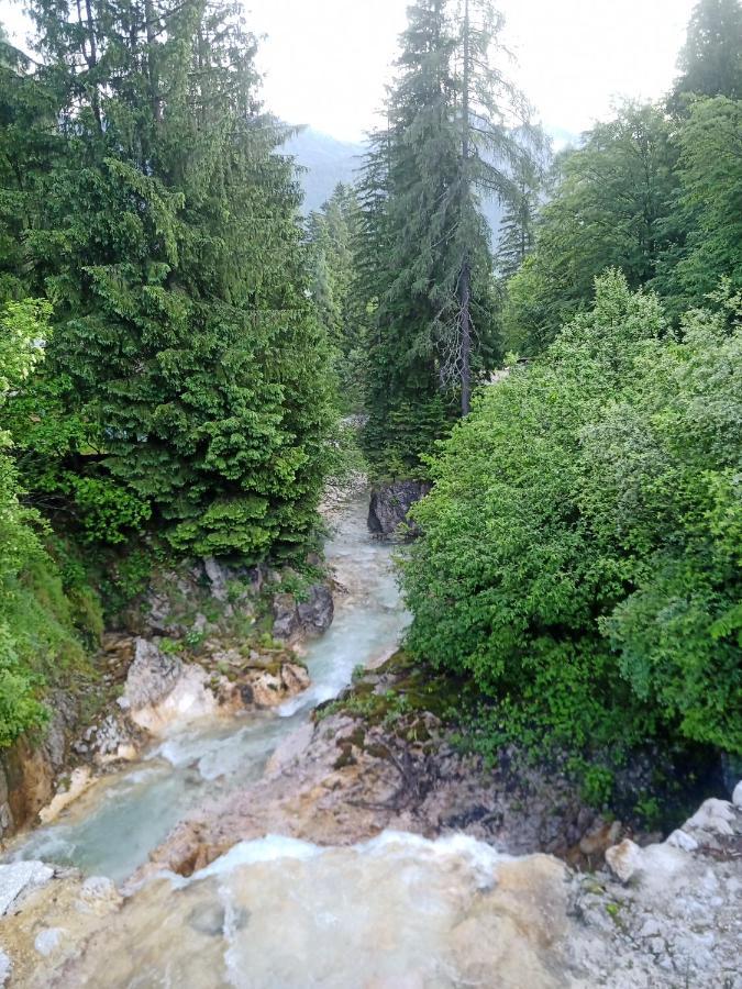 Gorski Biser Mojstrana Εξωτερικό φωτογραφία