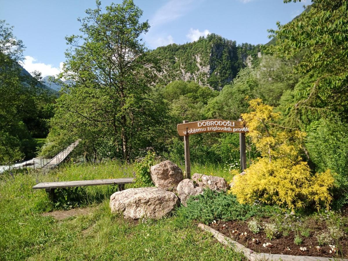 Gorski Biser Mojstrana Εξωτερικό φωτογραφία